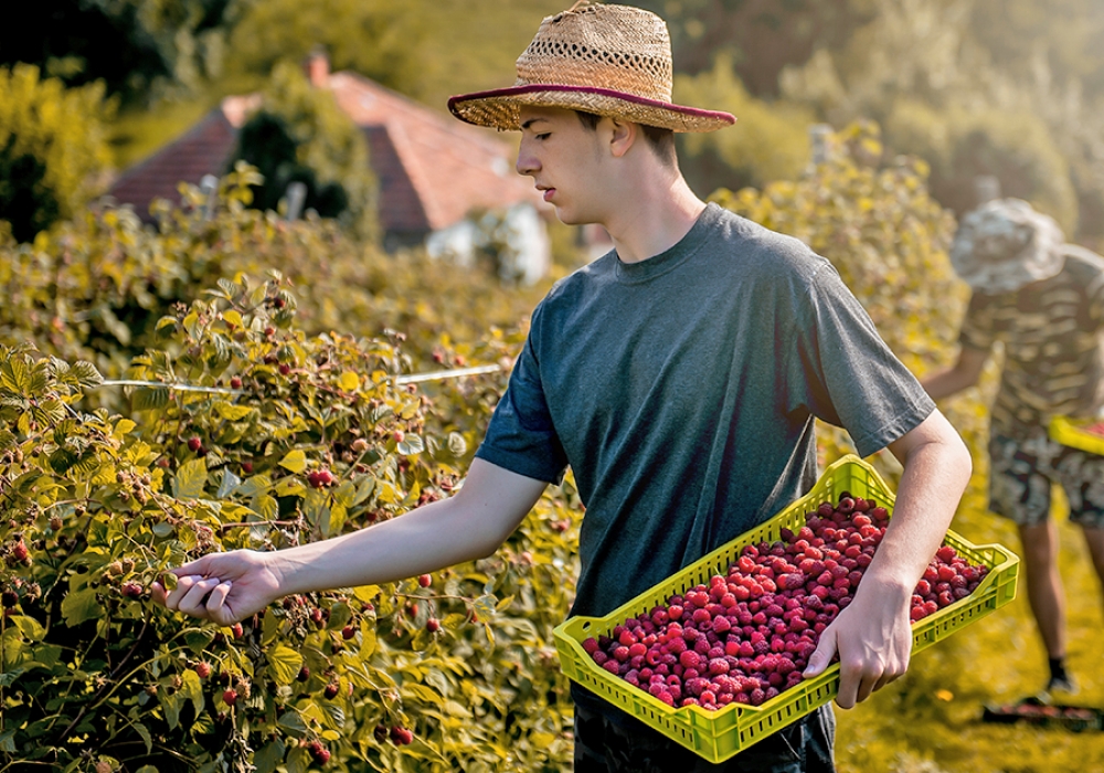 Ferien- &amp; Nebenjob